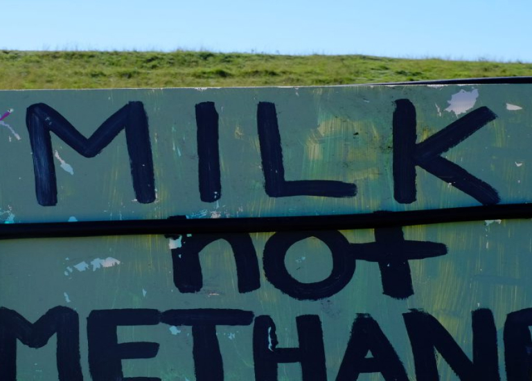 Painted sign reading Milk not Methane